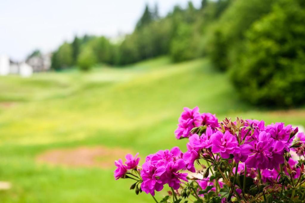 Appartamento Tulipano อันดาโล ภายนอก รูปภาพ